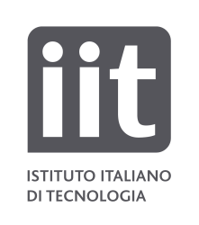 IIT-logo